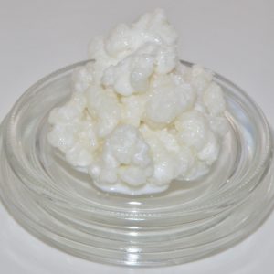 Kefir Grain Live Probiotic